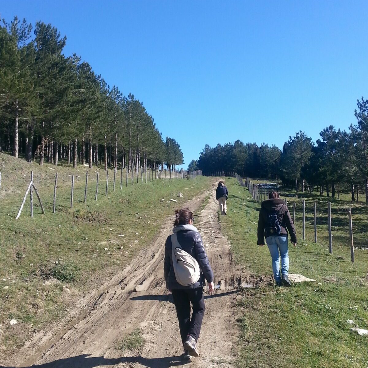 esperienze al passo con la natura 15